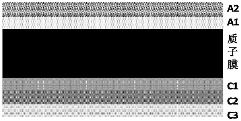 Membrane electrode of gradient proton exchange membrane fuel cell as well as preparation method and application of membrane electrode