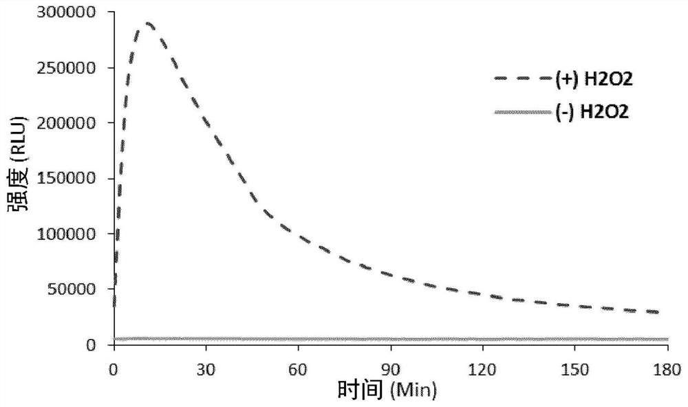 Long wavelength emitting chemiluminescent probes