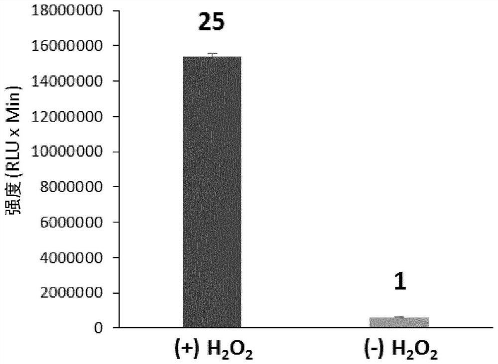 Long wavelength emitting chemiluminescent probes