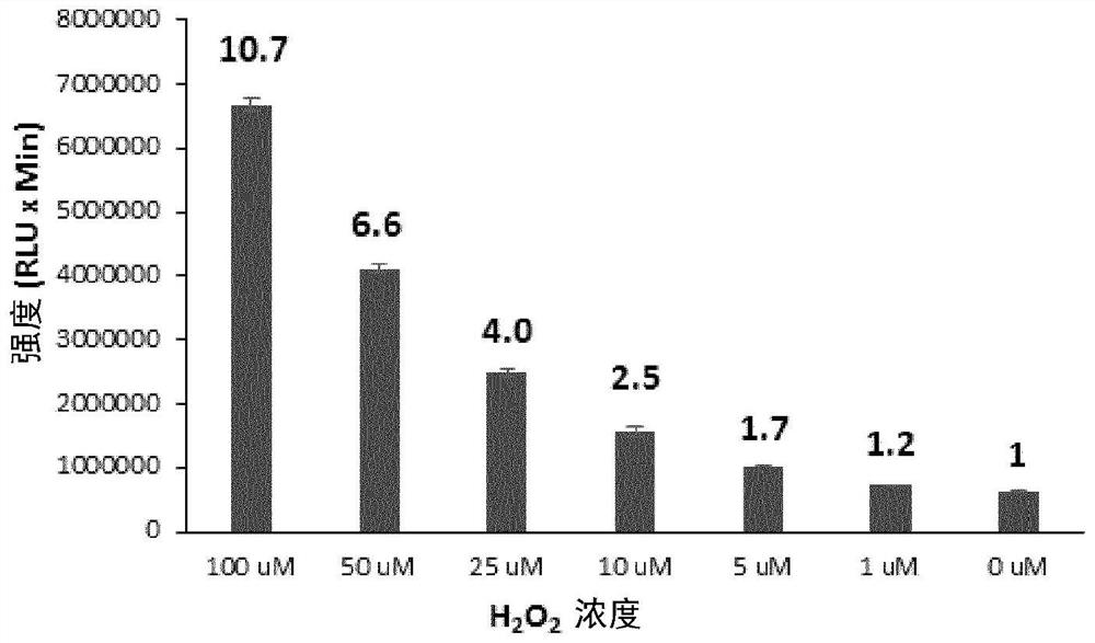 Long wavelength emitting chemiluminescent probes