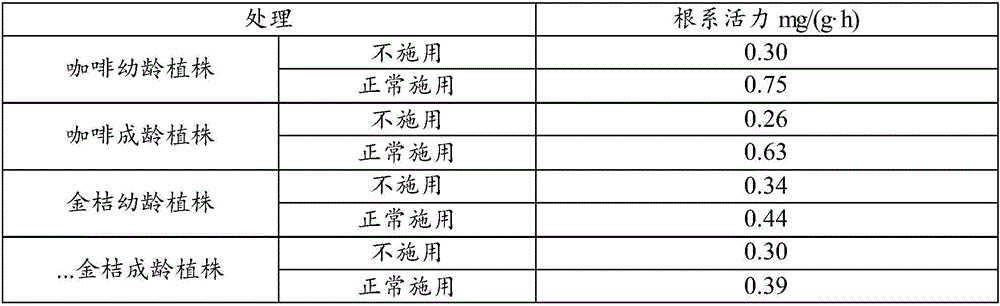 Cultivation method for improving root activity of coffee