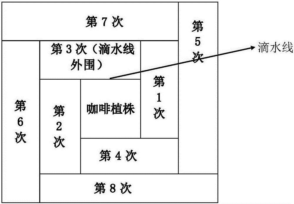 Cultivation method for improving root activity of coffee