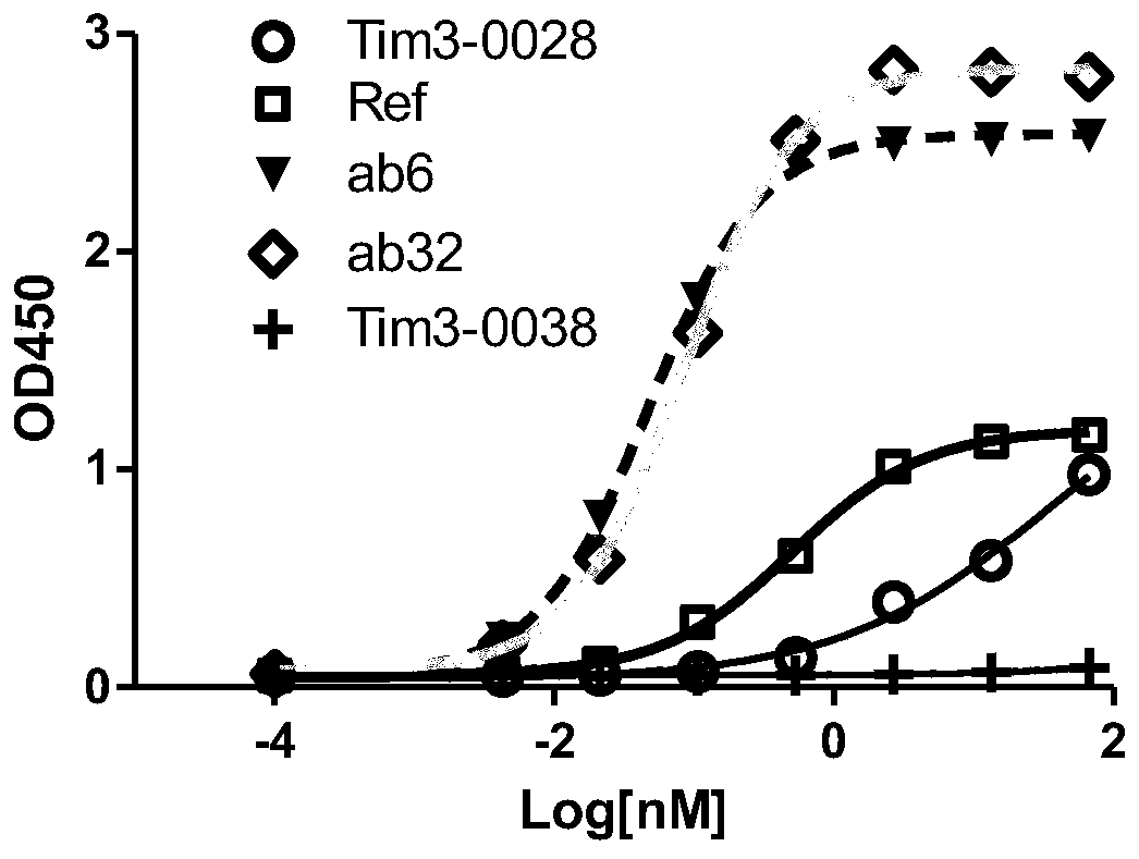 Bispecific antibody and application thereof