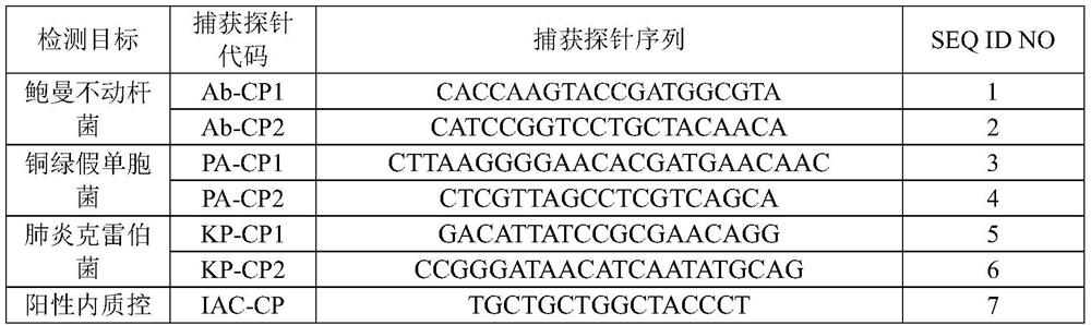 Nucleic acid reagent, kit, system and method for detecting pathogenic bacteria of bloodstream infection