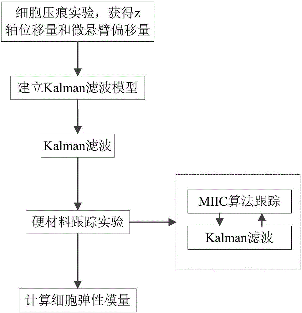 Kalman filtering based method for detecting mechanical property of cell through AFM (Atomic Force Microscope)