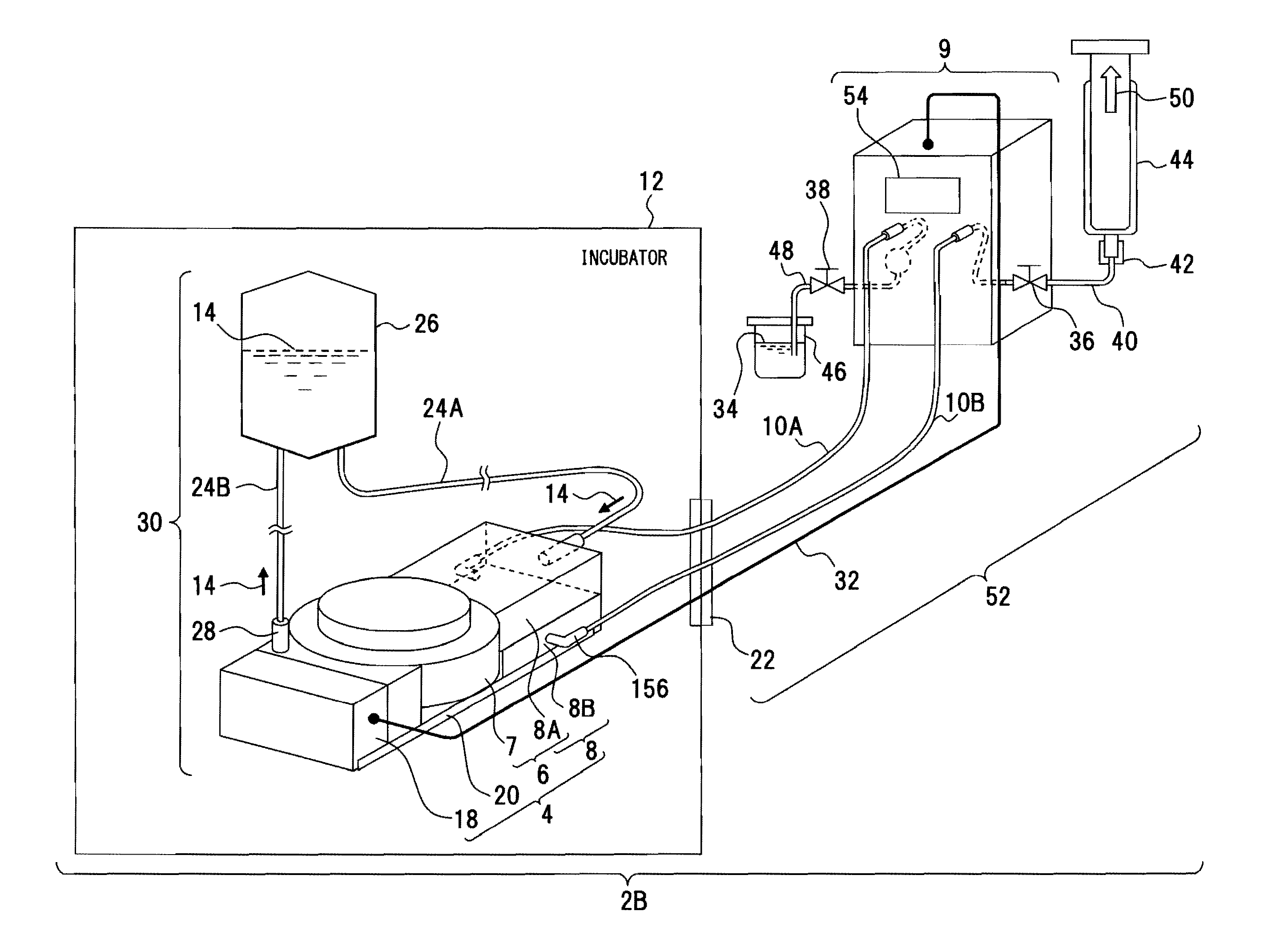 Pressure and circulation culture apparatus and pressure and circulation culture system