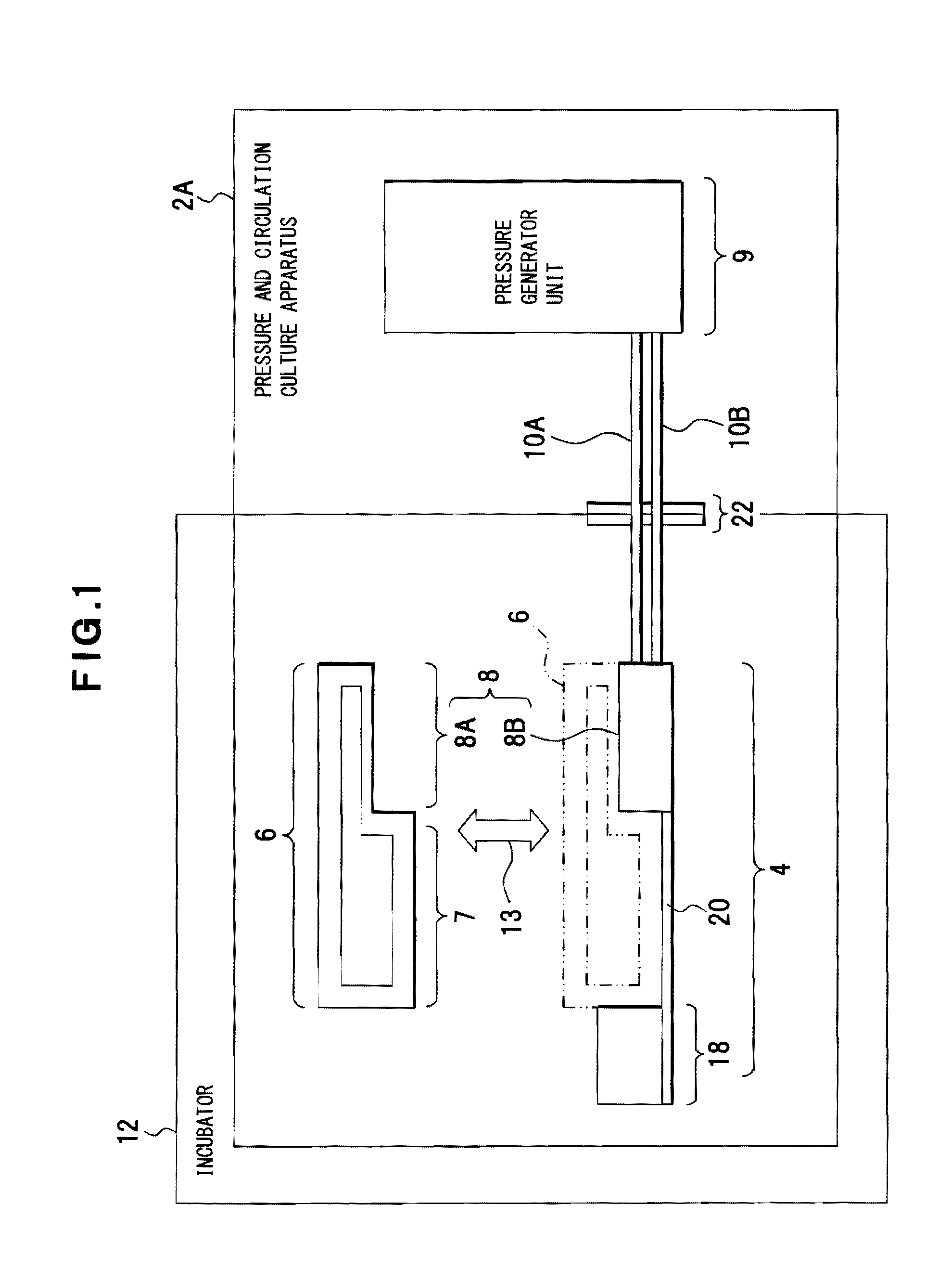 Pressure and circulation culture apparatus and pressure and circulation culture system