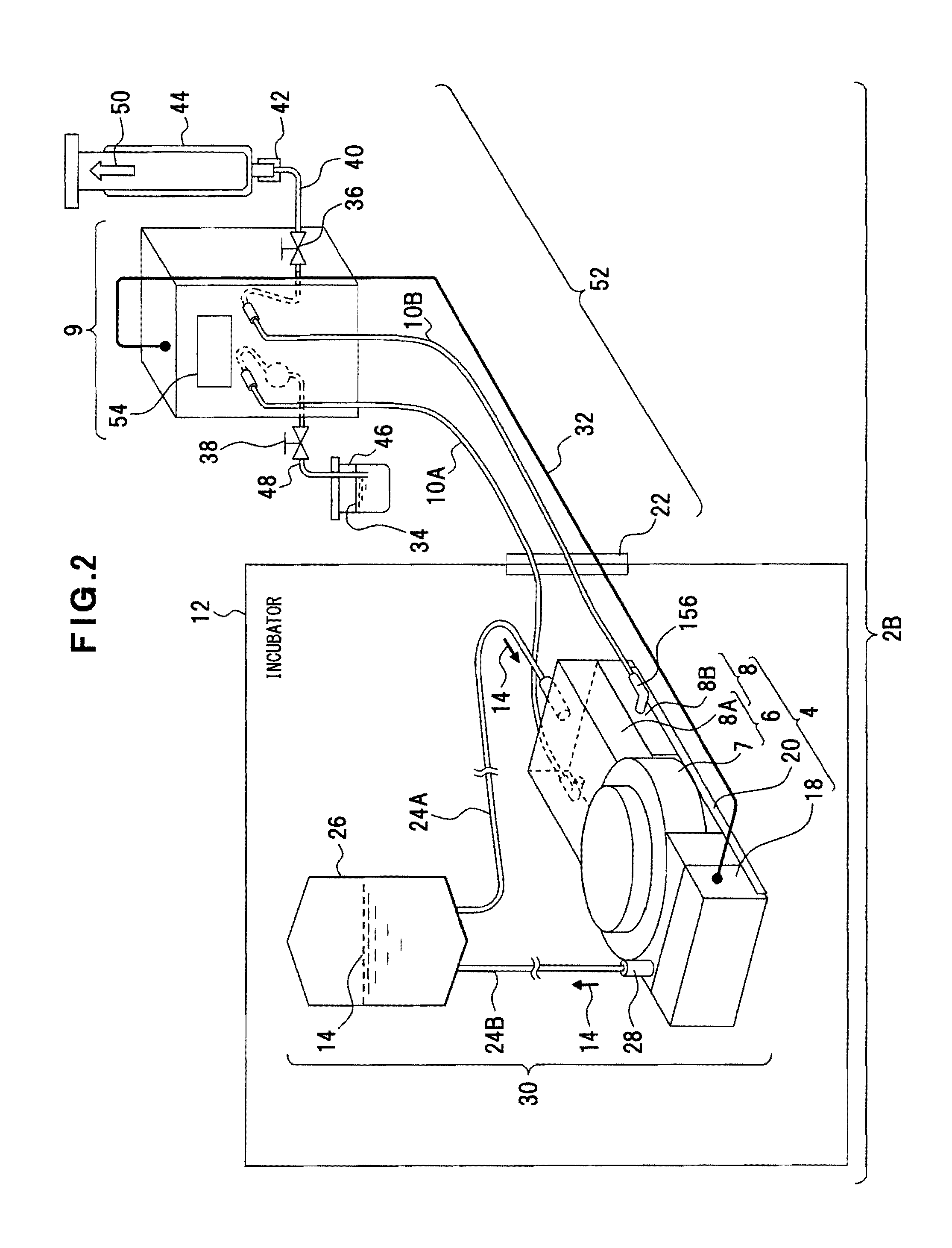 Pressure and circulation culture apparatus and pressure and circulation culture system