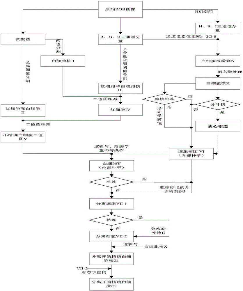 A Segmentation Method of Adhesive Leukocytes Based on Nuclear Marker Watershed Transform