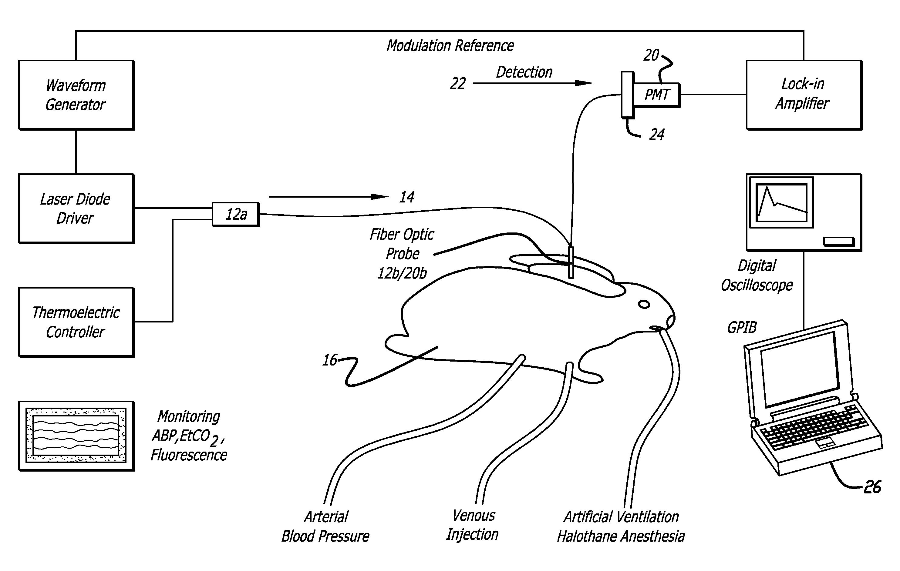 Method for dye injection for the transcutaneous measurement of cardiac output