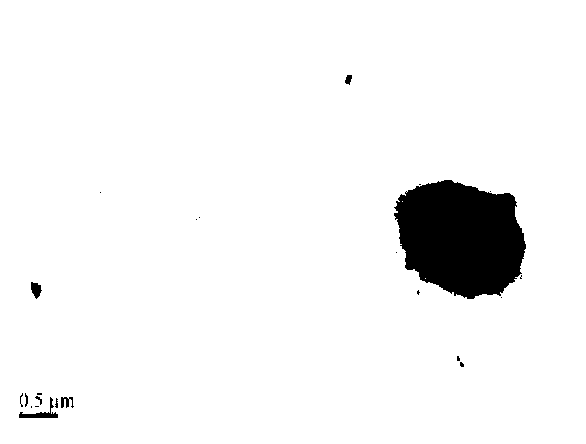 Pseudomonas fluorescens and application thereof in biosynthesizing methionine