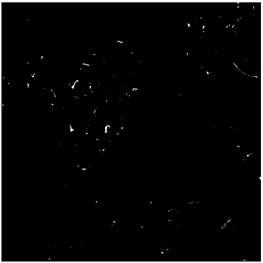 Surface oxygen vacancy ultrathin bismuth oxychloride nanosheet and preparation method thereof