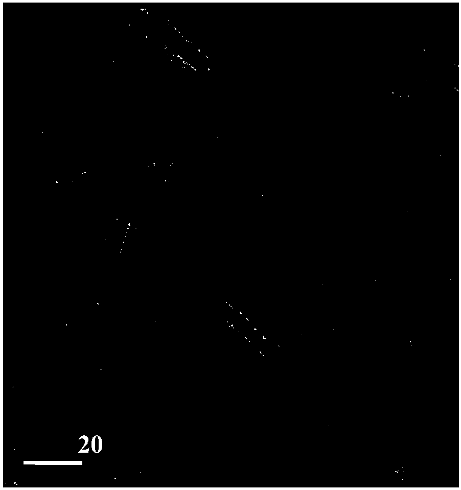 Surface oxygen vacancy ultrathin bismuth oxychloride nanosheet and preparation method thereof