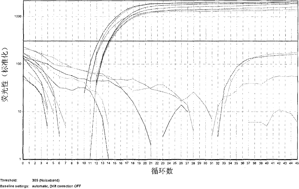 Kit and method for identifying and detecting Cordyceps sinensis