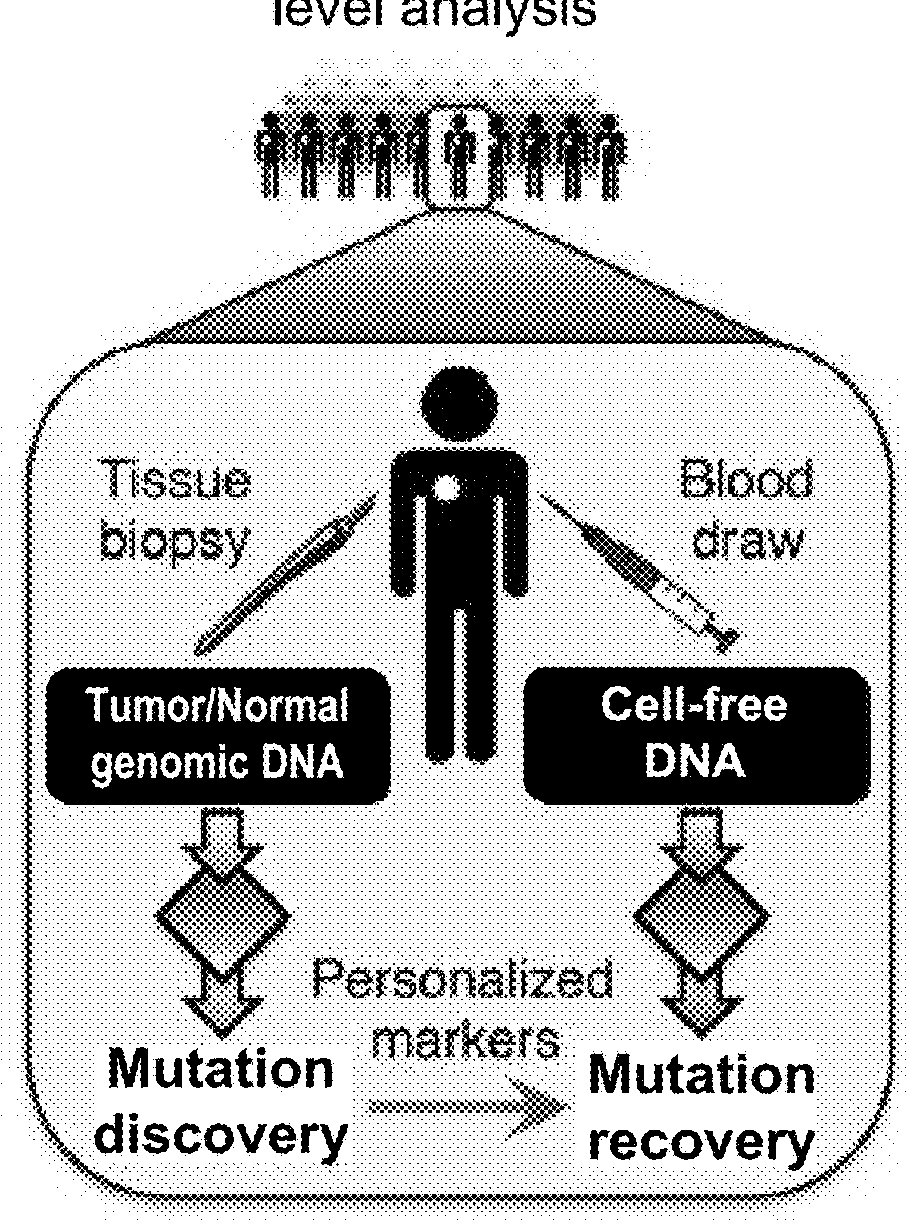 Identification and use of circulating nucleic acid tumor markers