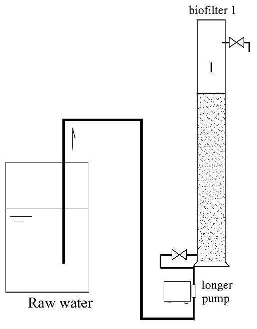 Foaming polyvinyl formal microbial carrier and preparation method thereof