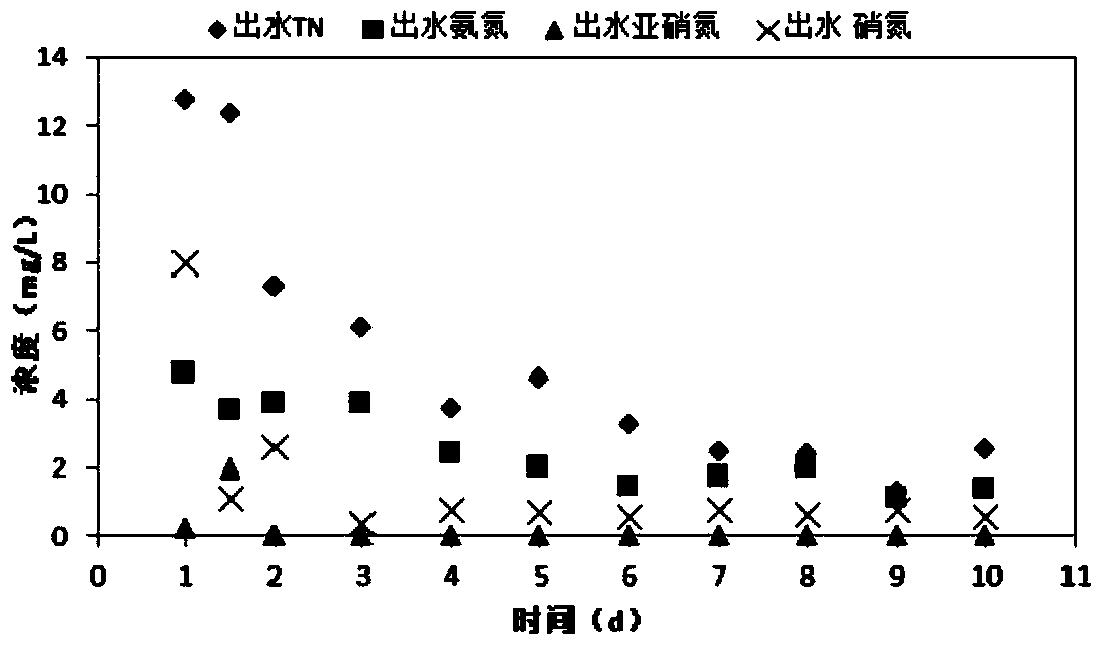 Foaming polyvinyl formal microbial carrier and preparation method thereof