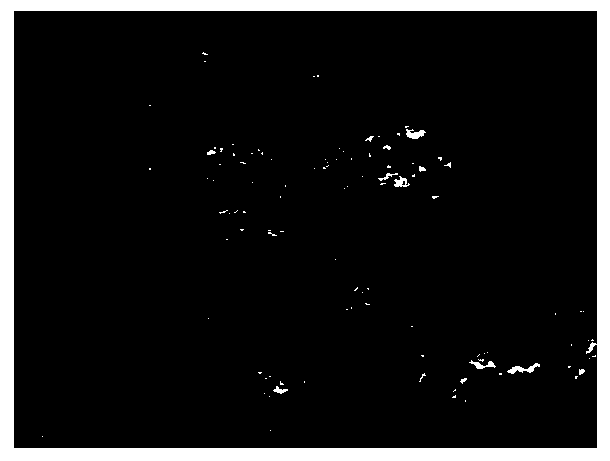 Foaming polyvinyl formal microbial carrier and preparation method thereof