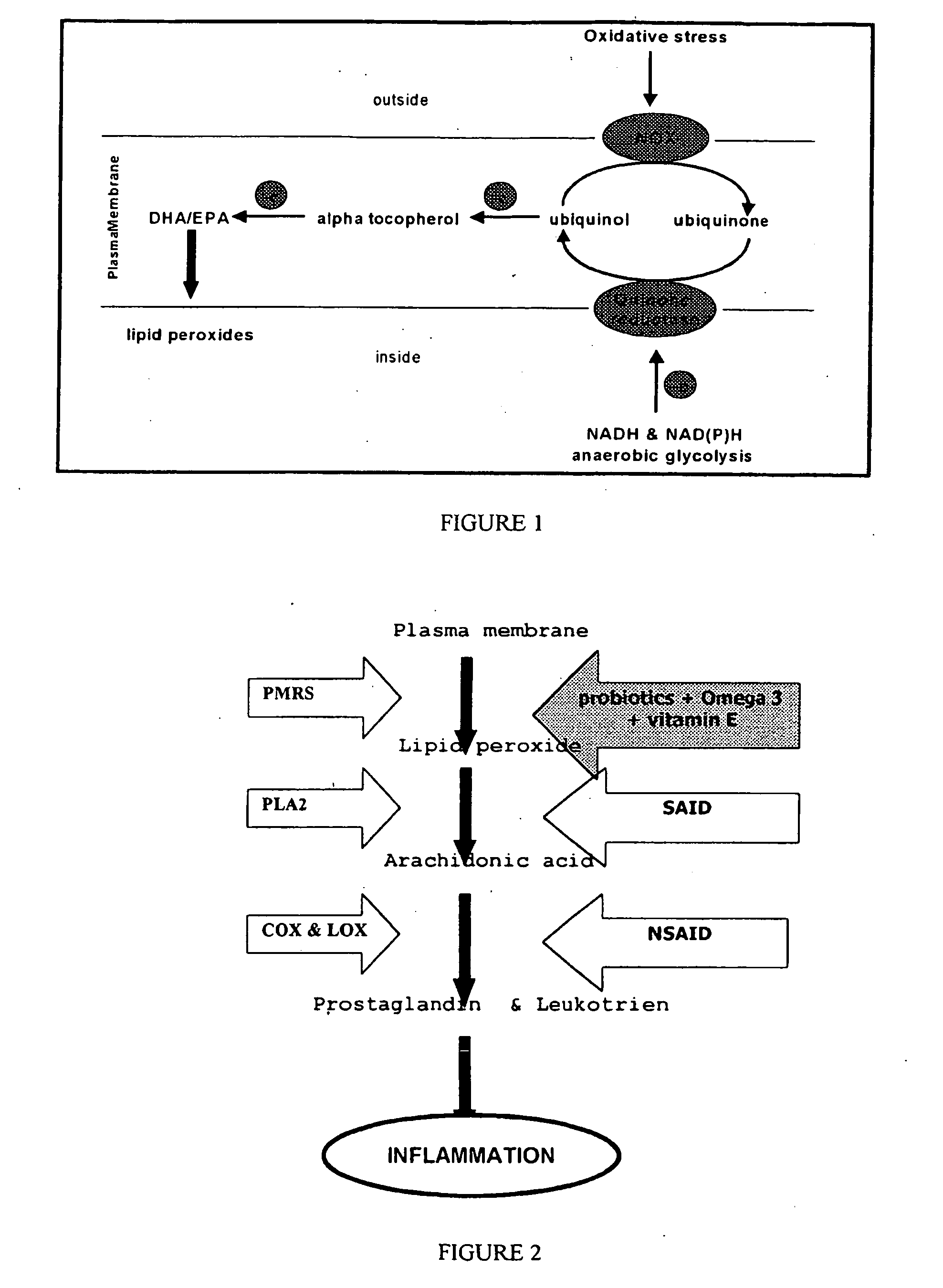 Composition and method inhibiting inflammation