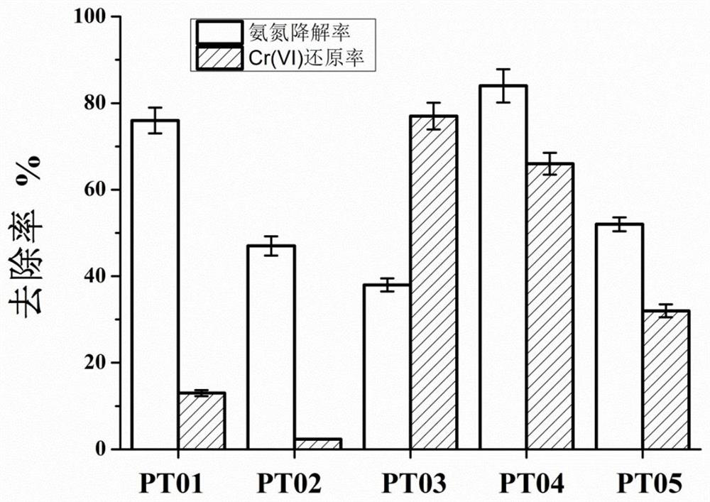 A kind of marine nitrifying bacteria and its preparation method and application