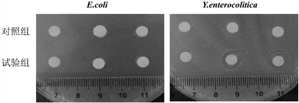 Separated endogenous antimicrobial polypeptides and application thereof