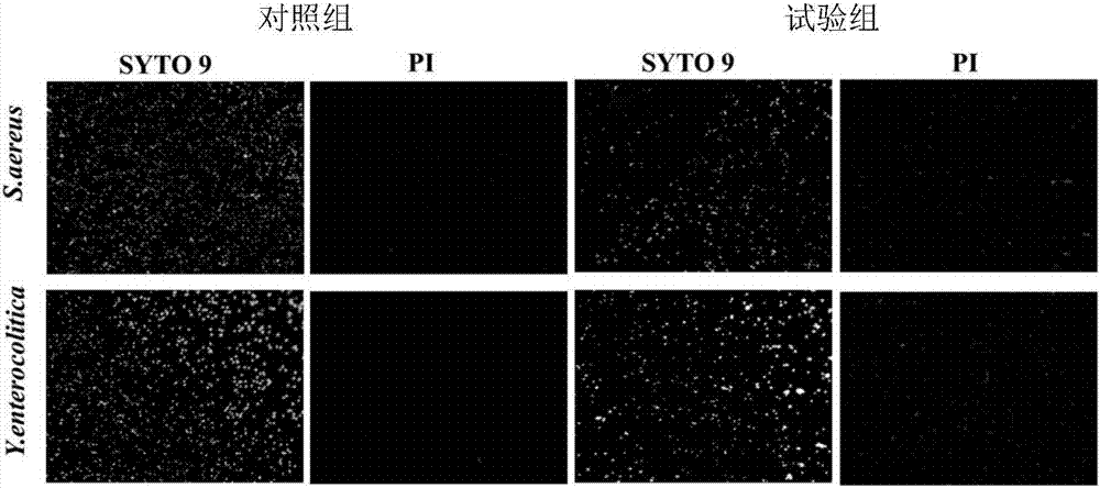 Separated endogenous antimicrobial polypeptides and application thereof