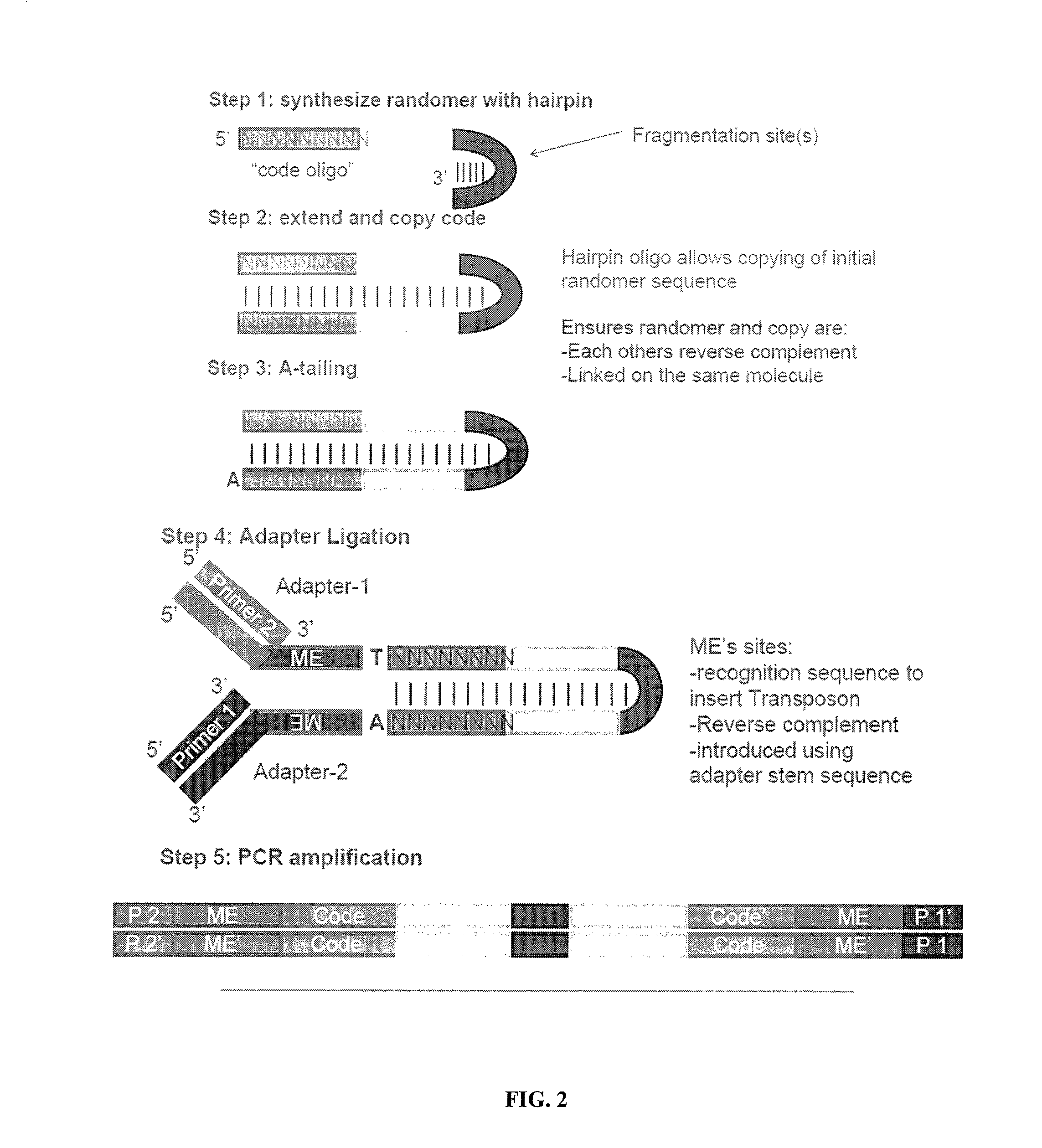 Linking sequence reads using paired code tags