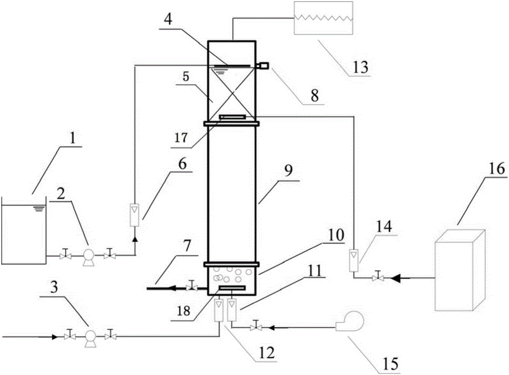 Down-flow ozone biological aerated filter device and wastewater treatment method