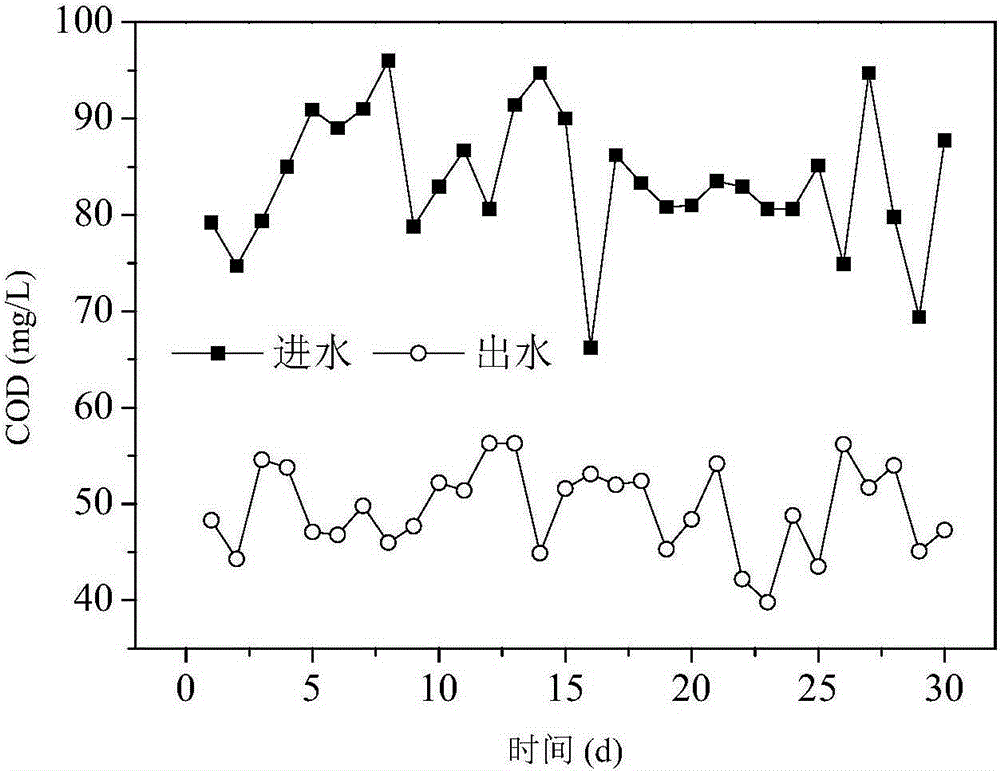 Down-flow ozone biological aerated filter device and wastewater treatment method