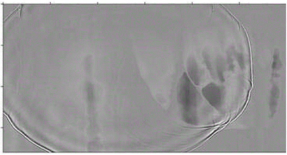 A three-dimensional earthquake anisotropic medium reverse-time migration imaging method and device