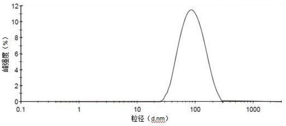 High skin retention ceramide nano composition, and preparation method and applications thereof