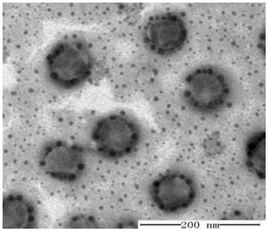 High skin retention ceramide nano composition, and preparation method and applications thereof