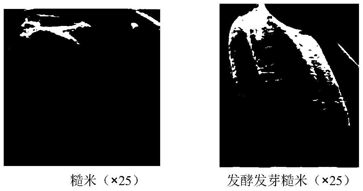 Method for improving edible quality of whole-grain coarse cereals