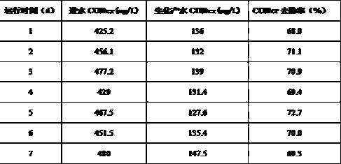 Obligate halophile fast culture method