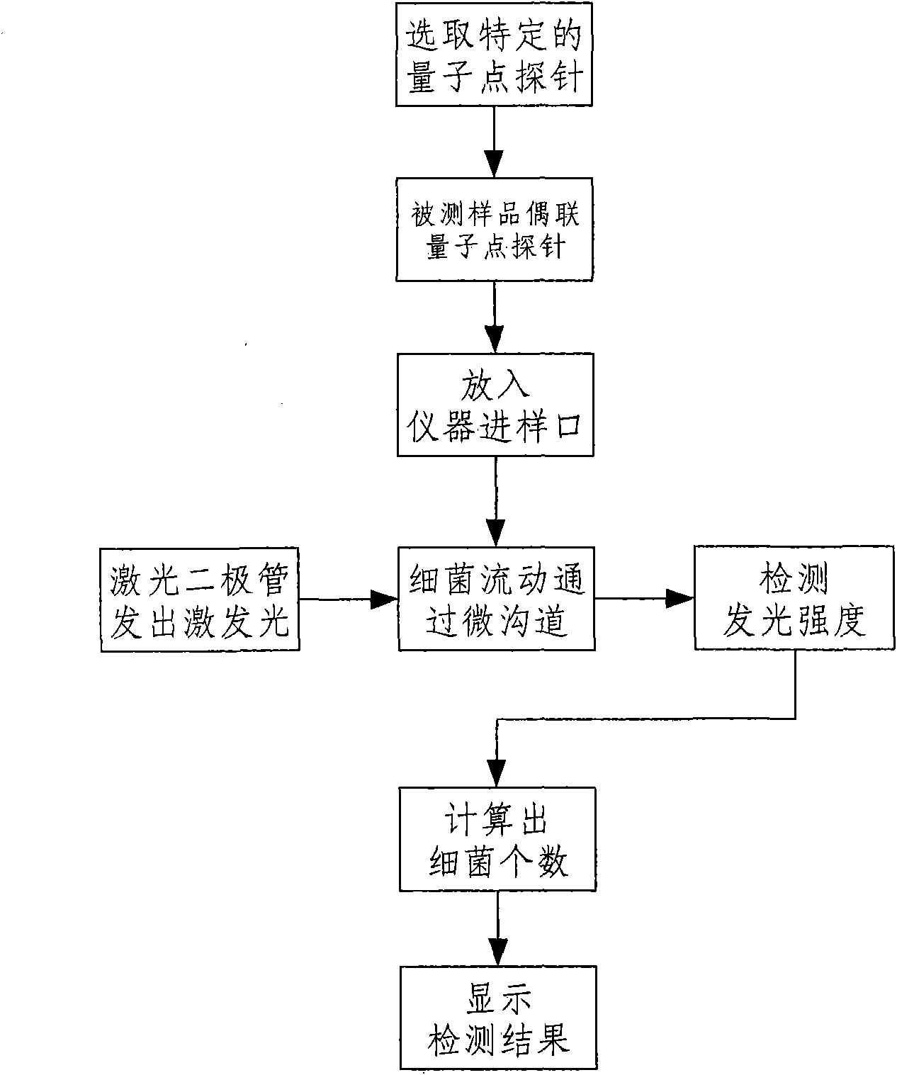 Instrument and method for bacterium flow count testing