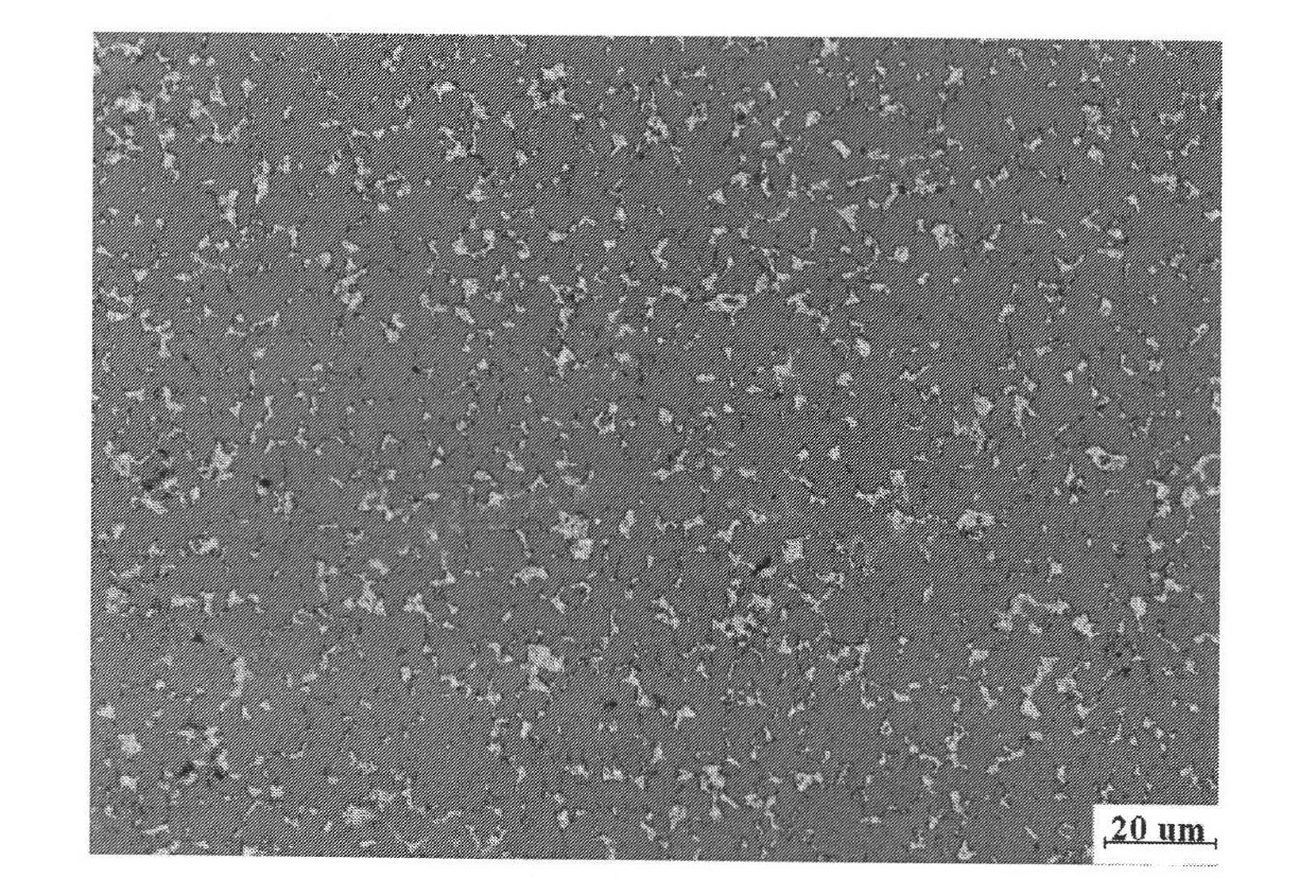 Silicon-aluminum bicontinuous composite material and preparation method thereof