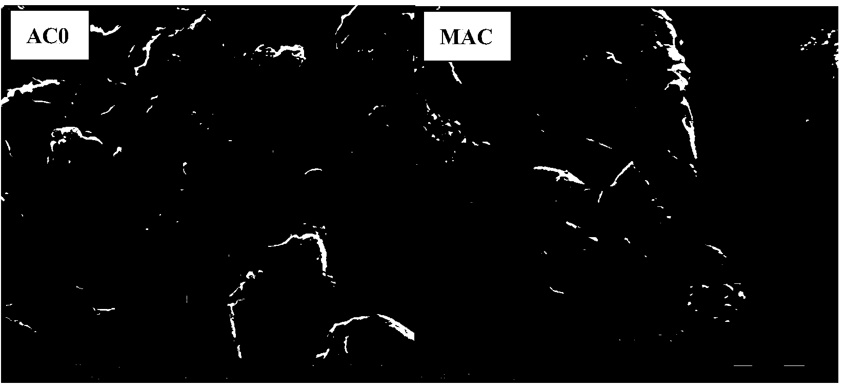 Calcium acetate modified hydrophilia activated carbon and preparation method thereof