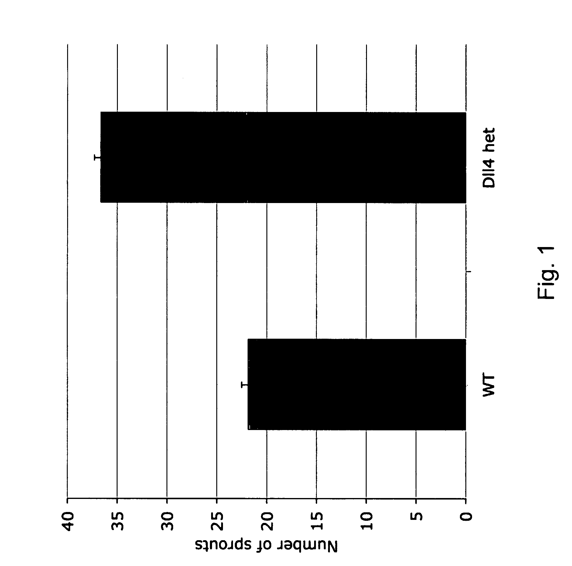 Therapeutic methods for treating vascular eye disorders with DII4 antagonists