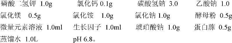 Method for preparing enzyme and bacterium composite agent for treating sewage and sludge