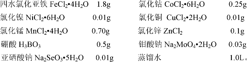 Method for preparing enzyme and bacterium composite agent for treating sewage and sludge