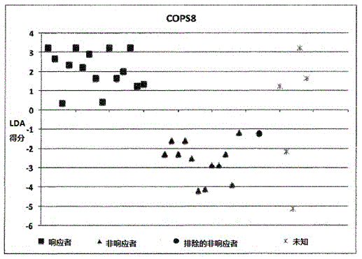 Assay and method for predicting therapeutic efficacy of immunoglobulin therapy in individual patients with relapsing remitting multiple sclerosis (RR-MS)