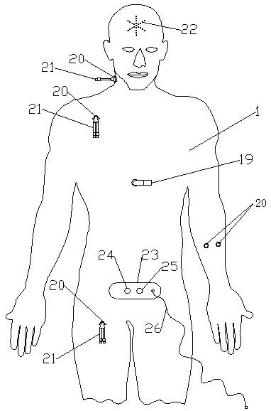 Blood purification model person