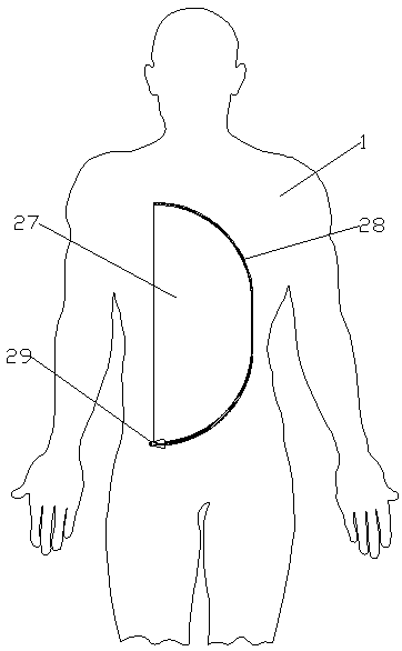 Blood purification model person