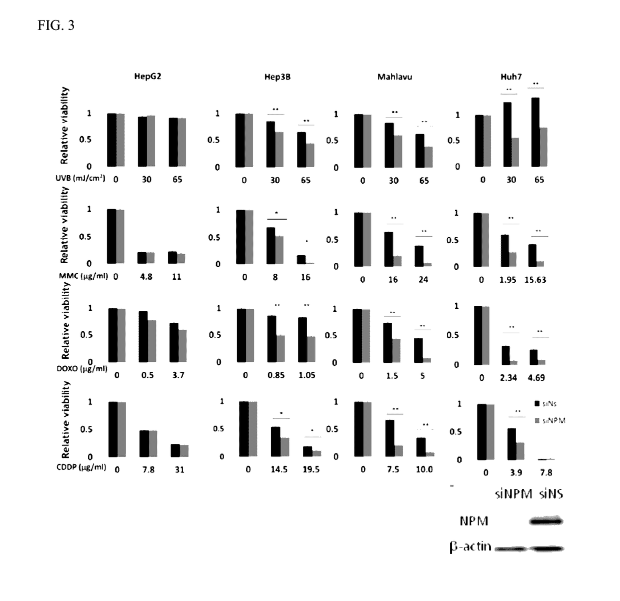 Novel pharmaceutical composition and uses thereof