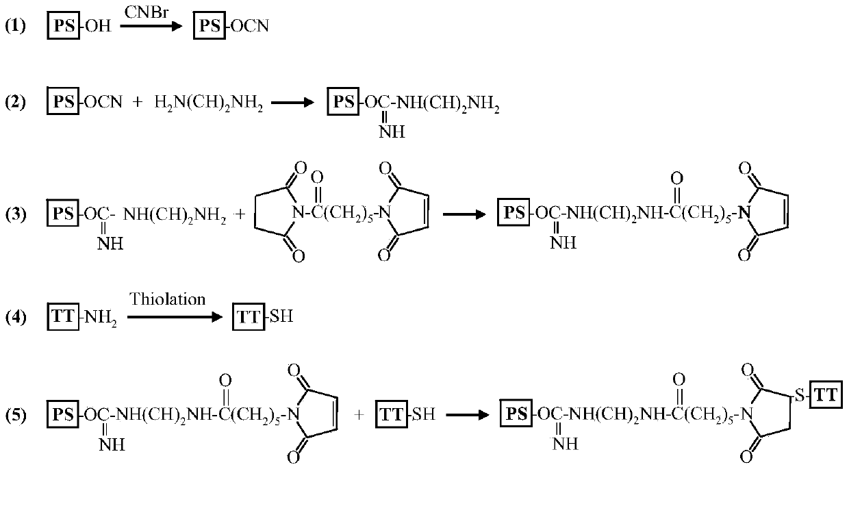 Meningitis polysaccharide conjugate vaccine and preparing method thereof