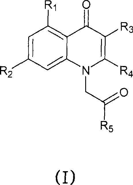 1H-quinolin-4-one compounds, with affinity for the GABA receptor, processes, uses and compositions