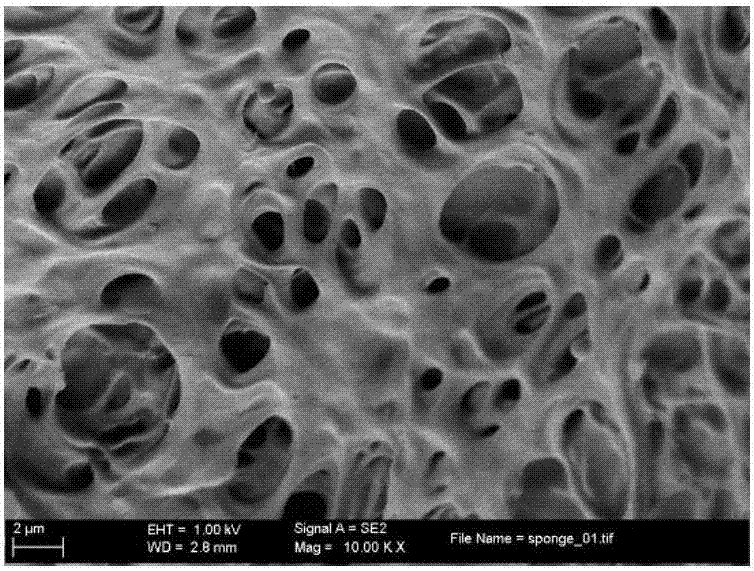 Method for preparing sponge supported iron oxide nanoparticle composite material synthesized in situ