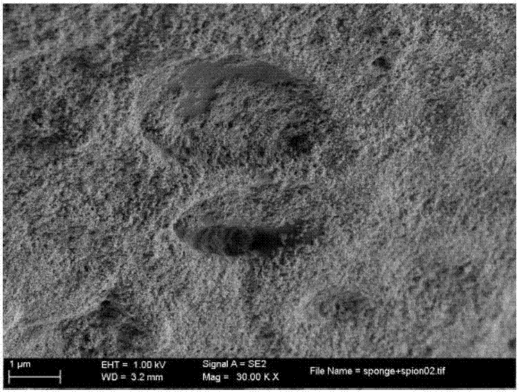 Method for preparing sponge supported iron oxide nanoparticle composite material synthesized in situ