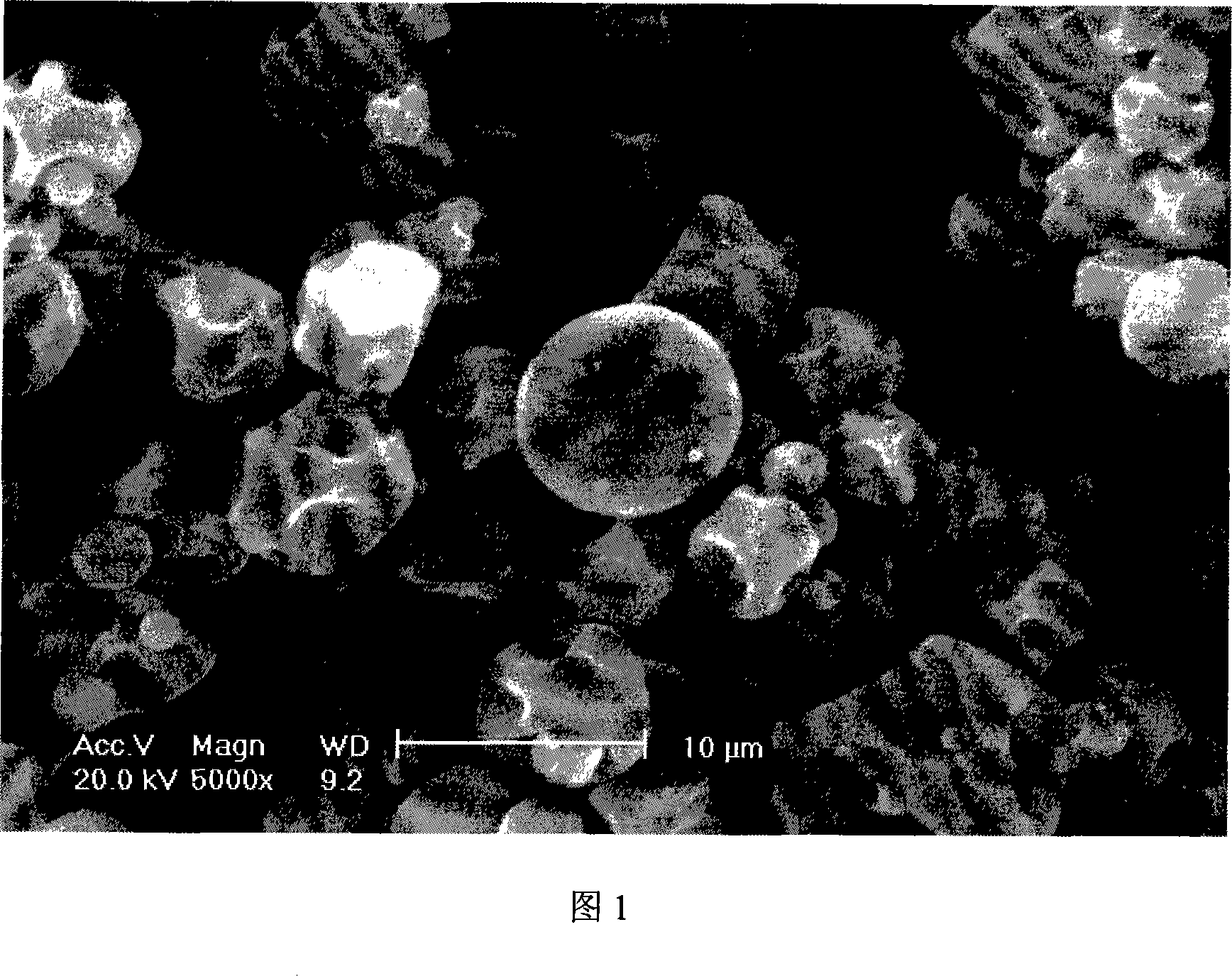 Method for preparing poultry cholera microcapsule vaccine