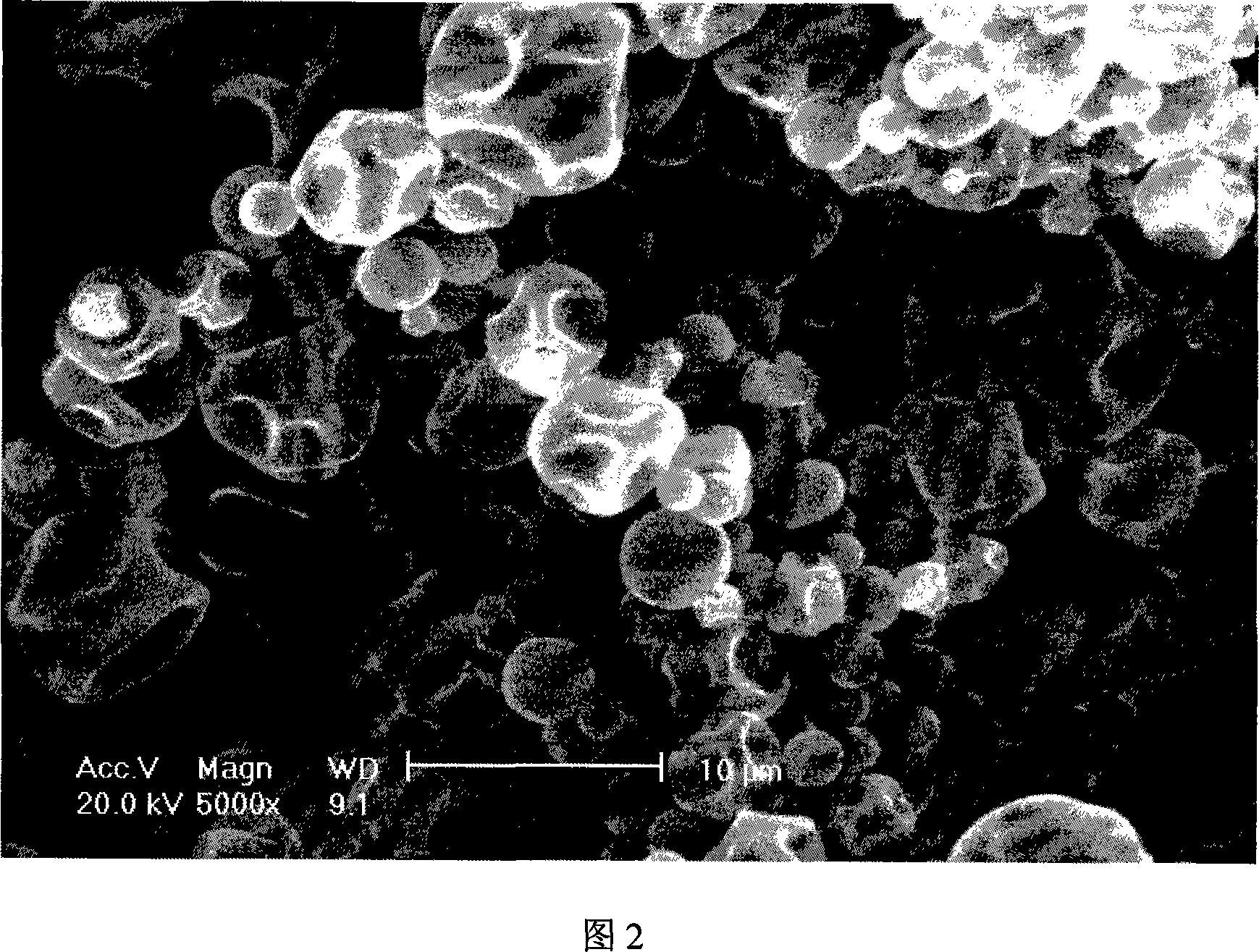 Method for preparing poultry cholera microcapsule vaccine